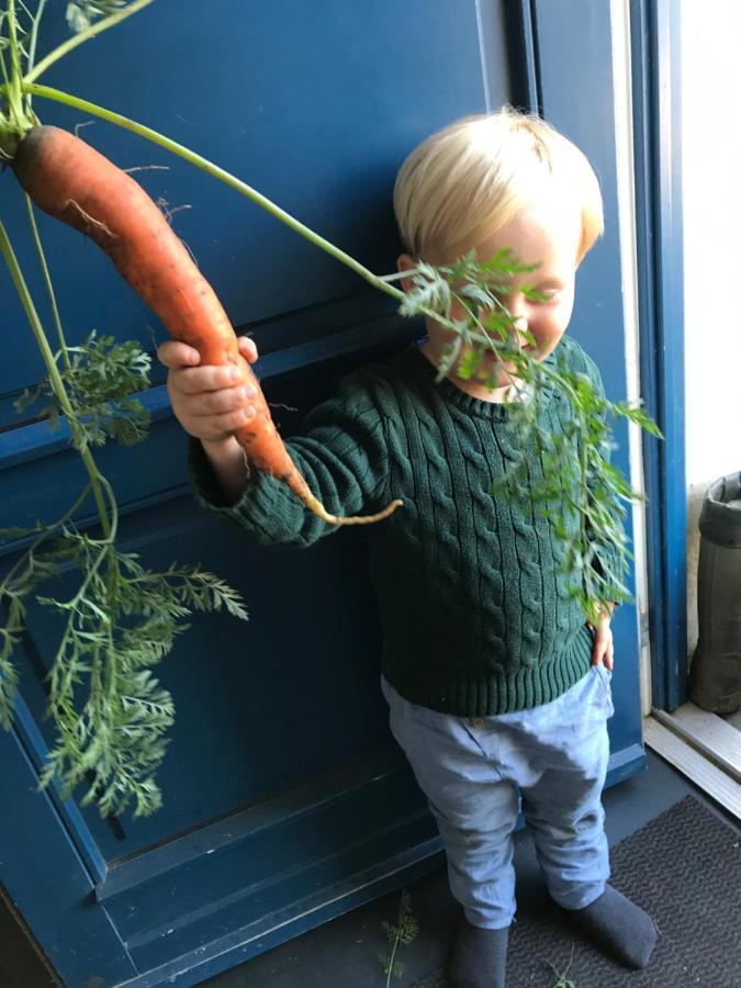 Bremsmaj Farm Holiday Kværs Zewnętrze zdjęcie